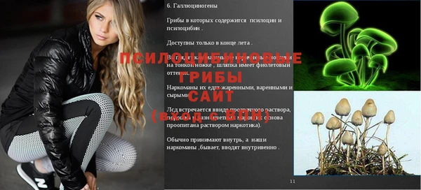 первитин Верхний Тагил
