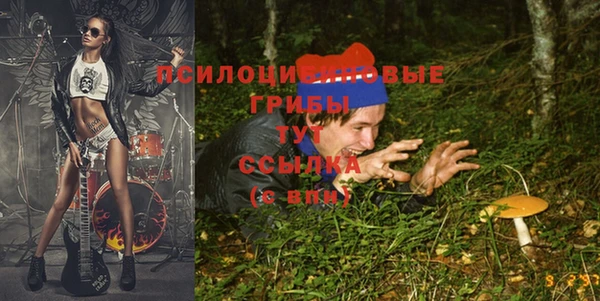 первитин Верхний Тагил